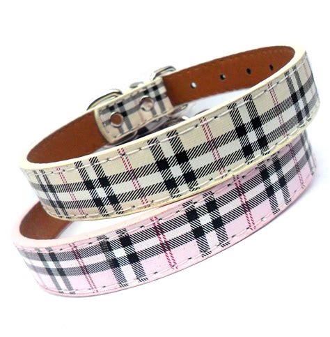 burberry small dog collar.